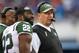 ORCHARD PARK, NY - NOVEMBER 17: Head coach Rex Ryan of the New York Jets and Ed Reed #22 look on from the sideline during NFL game action against the Buffalo Bills at Ralph Wilson Stadium on November 17, 2013 in Orchard Park, New York. (Photo by Tom Szcze
