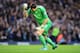 MANCHESTER, ENGLAND - NOVEMBER 24: Goalkeeper Costel Pantilimon of Manchester City celebrates a goal during the Barclays Premier League match between Manchester City and Tottenham Hotspur at Etihad Stadium on November 24, 2013 in Manchester, England. (P