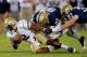 ATLANTA, GA - NOVEMBER 02: Vad Lee #2 of the Georgia Tech Yellow Jackets rushes against Aaron Donald #97 and David Durham #37 of the Pittsburgh Panthers at Bobby Dodd Stadium on November 2, 2013 in Atlanta, Georgia. (Photo by Kevin C. Cox/Getty Images)