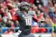 Quarterback Brandon Allen