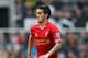 NEWCASTLE UPON TYNE, ENGLAND - OCTOBER 19: Luis Alberto of Liverpool in action during the Barclays Premier League match between Newcastle United and Liverpool at St James' Park on October 19, 2013 in Newcastle upon Tyne, England. (Photo by Julian Finney
