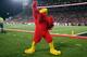 LOUISVILLE, KY - NOVEMBER 16: The Louisville Cardinals mascot performs during the game against the Houston Cougars at Papa John's Cardinal Stadium on November 16, 2013 in Louisville, Kentucky. (Photo by Andy Lyons/Getty Images)