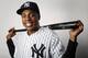 TAMPA, FL - FEBRUARY 20: Curtis Granderson #14 of the New York Yankees poses for a portrait on February 20, 2013 at George Steinbrenner Stadium in Tampa, Florida. (Photo by Elsa/Getty Images)