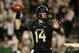 Nov 7, 2013; Waco, TX, USA; Baylor Bears quarterback Bryce Petty (14) throws a pass in the second quarter against the Oklahoma Sooners at Floyd Casey Stadium. Mandatory Credit: Tim Heitman-USA TODAY Sports