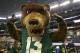 Nov 16, 2013; Arlington, TX, USA; Baylor Bears mascot Bruiser performs on the sidelines during the game against the Texas Tech Red Raiders at AT&T Stadium. Baylor beat Texas Tech 63-34. Mandatory Credit: Matthew Emmons-USA TODAY Sports