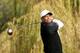 THOUSAND OAKS, CA - DECEMBER 07: Tiger Woods hits his tee shot on the fifth hole during the third round of the Northwestern Mutual World Challenge at Sherwood Country Club on December 7, 2013 in Thousand Oaks, California. (Photo by Stephen Dunn/Getty Im