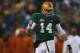 WACO, TX - DECEMBER 07: Bryce Petty #14 of the Baylor Bears celebrates a touchdown against the Texas Longhorns at Floyd Casey Stadium on December 7, 2013 in Waco, Texas. (Photo by Ronald Martinez/Getty Images)