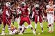 Nov 30, 2013; Columbia, SC, USA; South Carolina Gamecocks defensive end Jadeveon Clowney (7) celebrates a tackle for loss against the Clemson Tigers in the second quarter at Williams-Brice Stadium. Mandatory Credit: Jeff Blake-USA TODAY Sports
