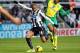 NEWCASTLE, UNITED KINGDOM - NOVEMBER 23: Loic Remy of Newcastle United gets off a shot despite the attentions of Leroy Fer of Norwich during the Barclays Premier League match between Newcastle United and Norwich City at St James' Park on November 23, 20