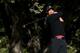 THOUSAND OAKS, CA - DECEMBER 08: Tiger Woods hits his tee shot on the sixth hole during the final round of the Northwestern Mutual World Challenge at Sherwood Country Club on December 8, 2013 in Thousand Oaks, California. (Photo by Stephen Dunn/Getty Im