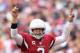GLENDALE, AZ - DECEMBER 08: Quarterback Carson Palmer #3 of the Arizona Cardinals prepares to snap the football during the NFL game against the St. Louis Rams at the University of Phoenix Stadium on December 8, 2013 in Glendale, Arizona. (Photo by Chris
