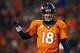 DENVER, CO - DECEMBER 8: Quarterback Peyton Manning #18 of the Denver Broncos celebrates a 20 yard fourth quarter touchdown pass to Eric Decker #87 (not pictured) during a game against the Tennessee Titans at Sports Authority Field Field at Mile High on