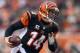 CINCINNATI, OH - DECEMBER 08: Andy Dalton #14 of the Cincinnati Bengals runs for a touchdown during the NFL game against the Indianapolis Colts at Paul Brown Stadium on December 8, 2013 in Cincinnati, Ohio. (Photo by Andy Lyons/Getty Images)