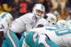 PITTSBURGH, PA - DECEMBER 08: Ryan Tannehill #17 of the Miami Dolphins under center against the Pittsburgh Steelers during the game on December 8, 2013 at Heinz Field in Pittsburgh, Pennsylvania. (Photo by Justin K. Aller/Getty Images)