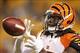 Dec 15, 2013; Pittsburgh, PA, USA; Cincinnati Bengals cornerback Dre Kirkpatrick (27) warms up prior to the game against the Pittsburgh Steelers at Heinz Field. Mandatory Credit: Charles LeClaire-USA TODAY Sports