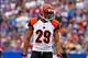 Oct 13, 2013; Orchard Park, NY, USA; Cincinnati Bengals cornerback Leon Hall (29) against the Buffalo Bills at Ralph Wilson Stadium. Mandatory Credit: Timothy T. Ludwig-USA TODAY Sports