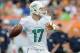 Dec 15, 2013; Miami Gardens, FL, USA; Miami Dolphins quarterback Ryan Tannehill (17) throws a pass against the New England Patriots during the first half at Sun Life Stadium. Mandatory Credit: Steve Mitchell-USA TODAY Sports