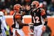 Dec 8, 2013; Cincinnati, OH, USA; Cincinnati Bengals running back Gio Bernard (25) celebrates with running back BenJarvus Green-Ellis (42) after scoring a touchdown during the fourth quarter at Paul Brown Stadium. Mandatory Credit: Andrew Weber-USA TODAY