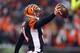 CINCINNATI, OH - DECEMBER 08: Andy Dalton #14 of the Cincinnati Bengals runs for a touchdown during the NFL game against the Indianapolis Colts at Paul Brown Stadium on December 8, 2013 in Cincinnati, Ohio. (Photo by Andy Lyons/Getty Images)