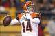Dec 15, 2013; Pittsburgh, PA, USA; Cincinnati Bengals quarterback Andy Dalton (14) throws the ball against the Pittsburgh Steelers during the second quarter at Heinz Field. The Steelers won 30-20. Mandatory Credit: Charles LeClaire-USA TODAY Sports