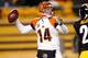 PITTSBURGH, PA - DECEMBER 15: Andy Dalton #14 of the Cincinnati Bengals looks to throw a second quarter pass while playing the Pittsburgh Steelers at Heinz Field on December 15, 2013 in Pittsburgh, Pennsylvania. (Photo by Gregory Shamus/Getty Images)