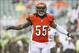 Nov 17, 2013; Cincinnati, OH, USA; Cincinnati Bengals outside linebacker Vontaze Burfict (55) reacts during the game against the Cleveland Browns at Paul Brown Stadium. Cincinnati won 41-20. Mandatory Credit: Kevin Jairaj-USA TODAY Sports