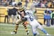 Stephen Tulloch