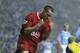LIVERPOOL, ENGLAND - FEBRUARY 11: Michael Owen of Liverpool celebrates after scoring the first goal during the FA Barclaycard Premiership match between Liverpool and Manchester City at Anfield on February 11, 2004 in Liverpool, England. (Photo by Alex Li
