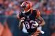 CINCINNATI, OH - OCTOBER 27: Marvin Jones #82 of the Cincinnati Bengals runs with the ball during the NFL game against the New York Jets at Paul Brown Stadium on October 27, 2013 in Cincinnati, Ohio. (Photo by Andy Lyons/Getty Images)