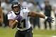 CHICAGO, IL - NOVEMBER 17: Ray Rice #27 of the Baltimore Ravens runs for a touchdown against the Chicago Bears at Soldier Field on November 17, 2013 in Chicago, Illinois. (Photo by Jonathan Daniel/Getty Images)