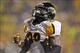 September 29, 2012; Baton Rouge, LA, USA; Towson Tigers running back Terrance West (28) celebrates after scoring a touchdown against the LSU Tigers during the second quarter of a game at Tiger Stadium. Mandatory Credit: Derick E. Hingle-USA TODAY Sports