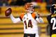 PITTSBURGH, PA - DECEMBER 15: Andy Dalton #14 of the Cincinnati Bengals looks to throw a second quarter pass while playing the Pittsburgh Steelers at Heinz Field on December 15, 2013 in Pittsburgh, Pennsylvania. (Photo by Gregory Shamus/Getty Images)