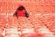 KANSAS CITY, MO - DECEMBER 22: An early fan sits alone in snowy stands ahead of the game between the Indianapolis Colts and the Kansas City Chiefs at Arrowhead Stadium on December 22, 2013 in Kansas City, Missouri. (Photo by Jamie Squire/Getty Images)