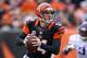 CINCINNATI, OH - DECEMBER 22: Andy Dalton #14 of the Cincinnati Bengals runs with the ball during the NFL game against the Minnesota Vikings at Paul Brown Stadium on December 22, 2013 in Cincinnati, Ohio. (Photo by Andy Lyons/Getty Images)