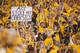 What happens if the Big 12 tries to poach a team from the basketball-dominant ACC?