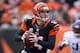 CINCINNATI, OH - DECEMBER 22: Andy Dalton #14 of the Cincinnati Bengals runs with the ball during the NFL game against the Minnesota Vikings at Paul Brown Stadium on December 22, 2013 in Cincinnati, Ohio. (Photo by Andy Lyons/Getty Images)