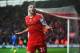 SOUTHAMPTON, ENGLAND - NOVEMBER 09: Adam Lallana of Southampton celebrates after scoring during the Barclays Premier League match between Southampton and Hull City at St Mary's Stadium on November 9, 2013 in Southampton, England. (Photo by Mike Hewitt/G