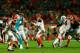 The Bengals could host their nemesis, the Miami Dolphins, in the Wild Card round of the playoffs. Finishing strong in the regular season will give the Bengals an edge.