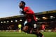 Danny Welbeck celebrates his goal at Carrow Road.