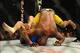 Jul 6, 2013; Las Vegas, NV, USA; Chris Weldman (blue shorts) and Anderson Silva during their Middleweight Chamionship Bout at the MGM Grand Garden Arena. Chris Weidman defeated Anderson in a TKO in the second round. Mandatory Credit: Jayne Kamin-Oncea-US