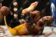 Dec 28, 2013; Las Vegas, NV, USA; Anderson Silva reacts after breaking his leg on a kick to Chris Weidman (not pictured) during their UFC middleweight championship bout at the MGM Grand Garden Arena. Mandatory Credit: Jayne Kamin-Oncea-USA TODAY Sports