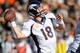 OAKLAND, CA - DECEMBER 29: Peyton Manning #18 of the Denver Broncos drops back to pass against the Oakland Raiders during the second quarter at O.co Coliseum on December 29, 2013 in Oakland, California. (Photo by Thearon W. Henderson/Getty Images)