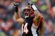 CINCINNATI, OH - DECEMBER 29: Domata Peko #94 of the Cincinnati Bengals celebrates during the 34-17 win over the Baltimore Ravens at Paul Brown Stadium on December 29, 2013 in Cincinnati, Ohio. (Photo by Andy Lyons/Getty Images)
