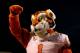 RALEIGH, NC - SEPTEMBER 19: The mascot of the Clemson Tigers during their game at Carter-Finley Stadium on September 19, 2013 in Raleigh, North Carolina. (Photo by Streeter Lecka/Getty Images)