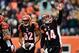 Dec 29, 2013; Cincinnati, OH, USA; Cincinnati Bengals quarterback Andy Dalton (14) celebrates after throwing a pass for a touchdown during the second quarter against the Baltimore Ravens at Paul Brown Stadium. Mandatory Credit: Andrew Weber-USA TODAY Spor