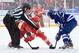 ANN ARBOR, MI - JANUARY 1: Linesman Mark Shewchyk #92 drops the puck between Pavel Datsyuk #13 of the Detroit Red Wings and Tyler Bozak #42 of the Toronto Maple Leafs during the Bridgestone NHL Winter Classic on January 1, 2014 at the University of Michi