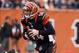 Dec 29, 2013; Cincinnati, OH, USA; Cincinnati Bengals quarterback Andy Dalton (14) runs the ball for a touchdown against the Baltimore Ravens in the second half at Paul Brown Stadium. Cincinnati defeated Baltimore 34-17. Mandatory Credit: Mark Zerof-USA T