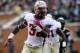 Florida State RB James Wilder, Jr.