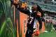 Dec 29, 2013; Cincinnati, OH, USA; Cincinnati Bengals cornerback Dre Kirkpatrick (27) celebrates with fans after defeating the Baltimore Ravens 34-17 at Paul Brown Stadium. Mandatory Credit: Andrew Weber-USA TODAY Sports