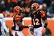 Dec 8, 2013; Cincinnati, OH, USA; Cincinnati Bengals running back Gio Bernard (25) celebrates with running back BenJarvus Green-Ellis (42) after scoring a touchdown during the fourth quarter at Paul Brown Stadium. Mandatory Credit: Andrew Weber-USA TODAY